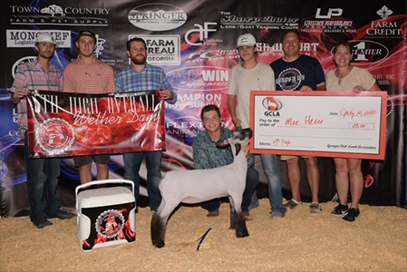 Junk Club Lambs Winners