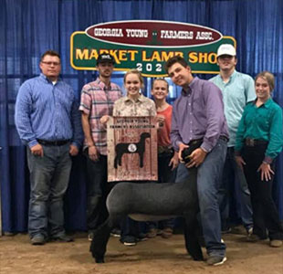 Junk Club Lambs Winners