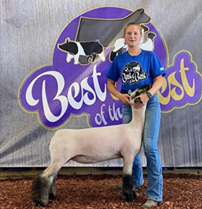 Junk Club Lambs Winners