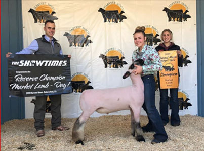 Junk Club Lambs Winners